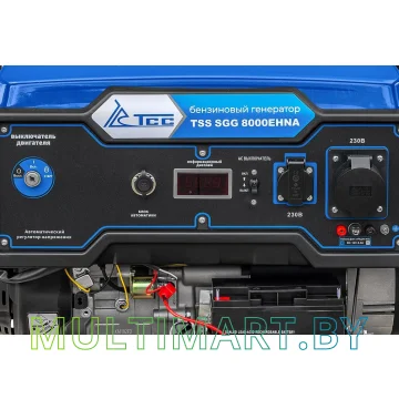 Бензиновый генератор ТСС SGG 8000EHNA картинка 5